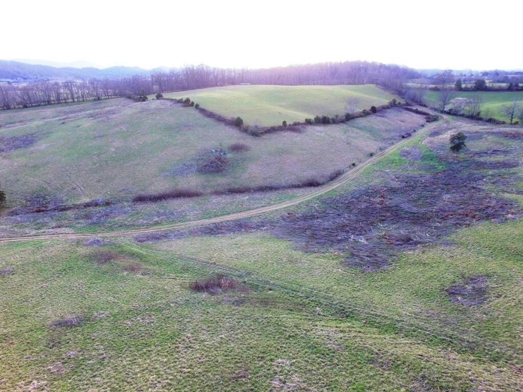 0 Prease Road Buchanan, VA 24066 - Photo 9 of 20 09