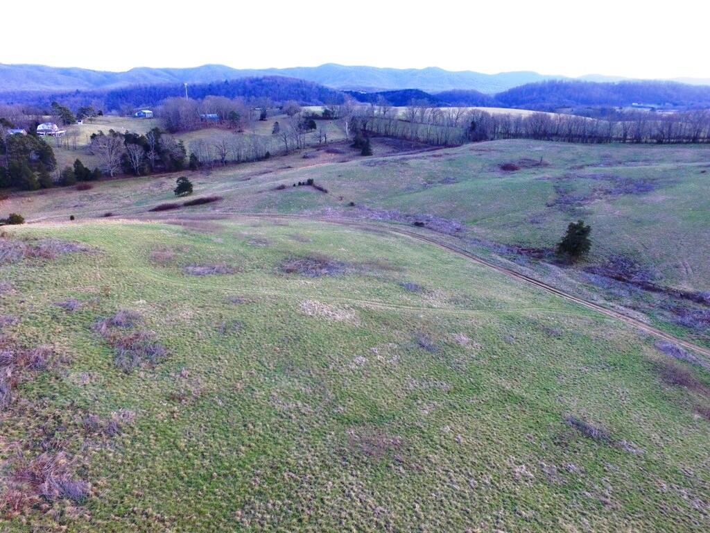 0 Prease Road Buchanan, VA 24066 - Photo 10 of 20 010