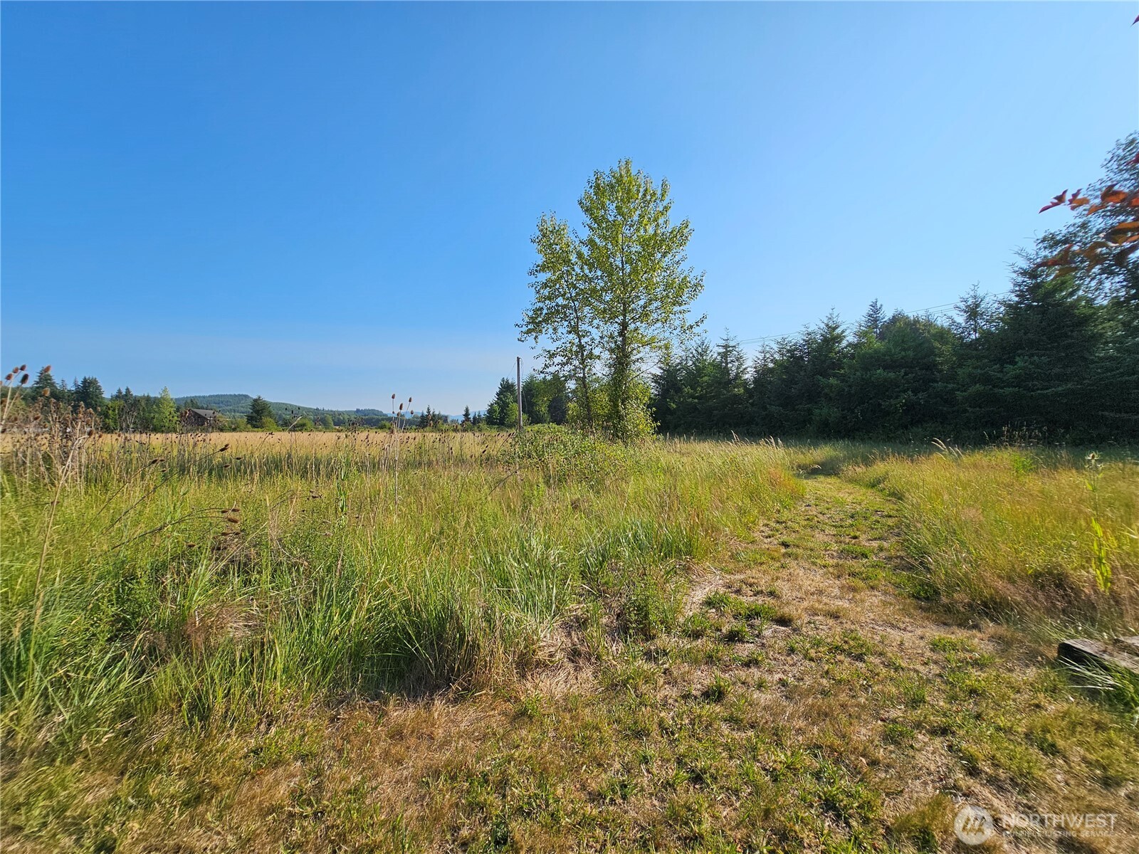 581 Boistfort Road Curtis, WA 98538 - Photo 6 of 24 Gallery Image 6