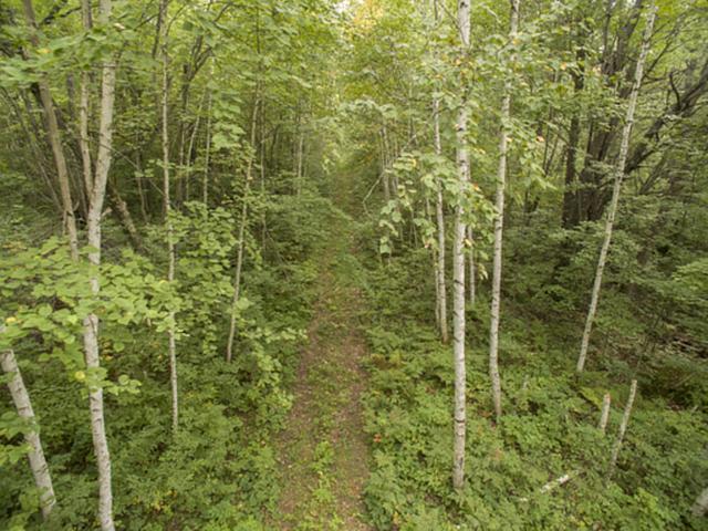 Lot 0 Other Springbrook, WI 54875 - Photo 2 of 13 Gallery Image 2