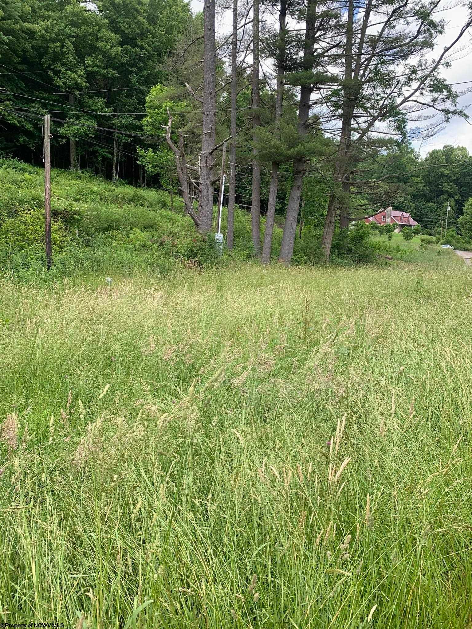 58 Pinewood Loop Webster Springs, WV 26288 - Photo 5 of 6 Gallery Image 5