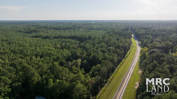 a view of a forest with a lake
