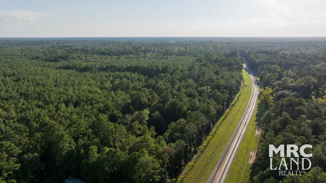 a view of a forest with a lake