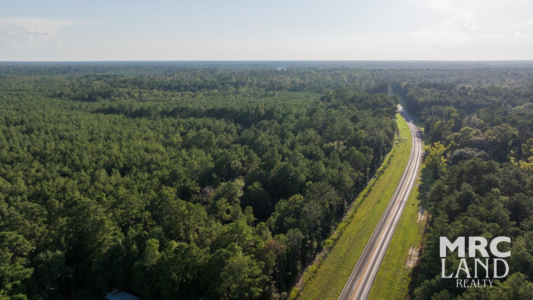 a view of a forest with a lake