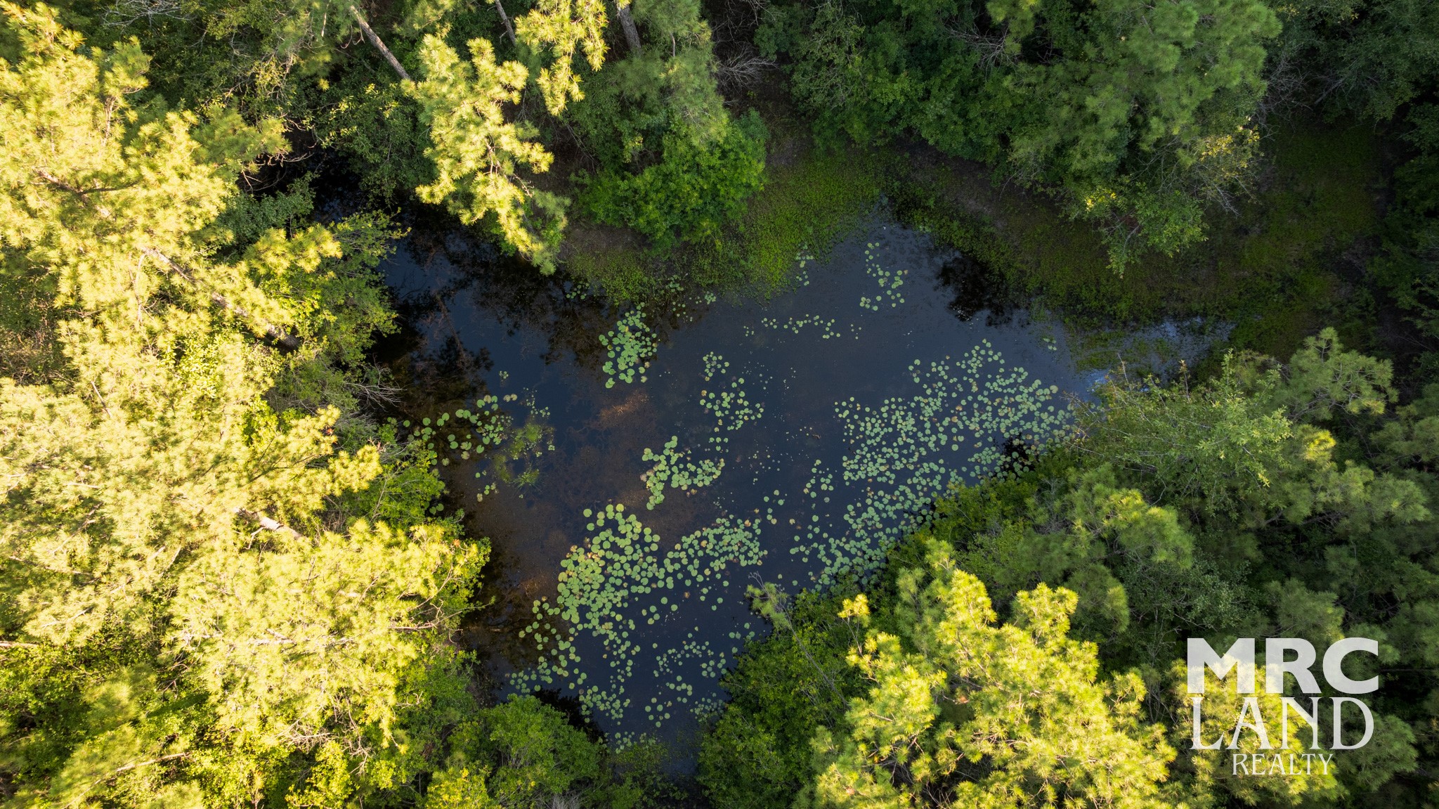 0 Fm 363 Newton, TX 75966 - Photo 11 of 25