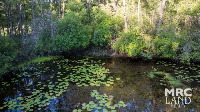 a view of an ocean and mountain