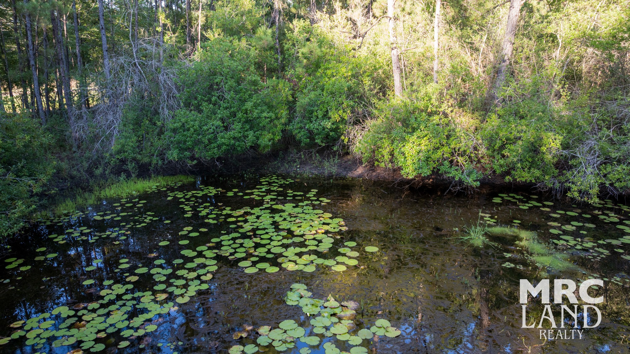 0 Fm 363 Newton, TX 75966 - Photo 12 of 25 a view of outdoor space and yard