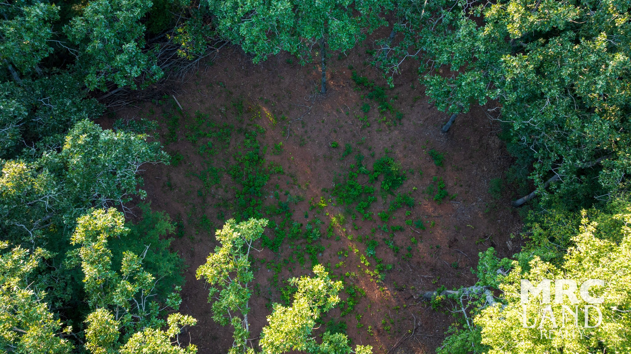 0 Fm 363 Newton, TX 75966 - Photo 20 of 25 a view of a yard with plants and a bench