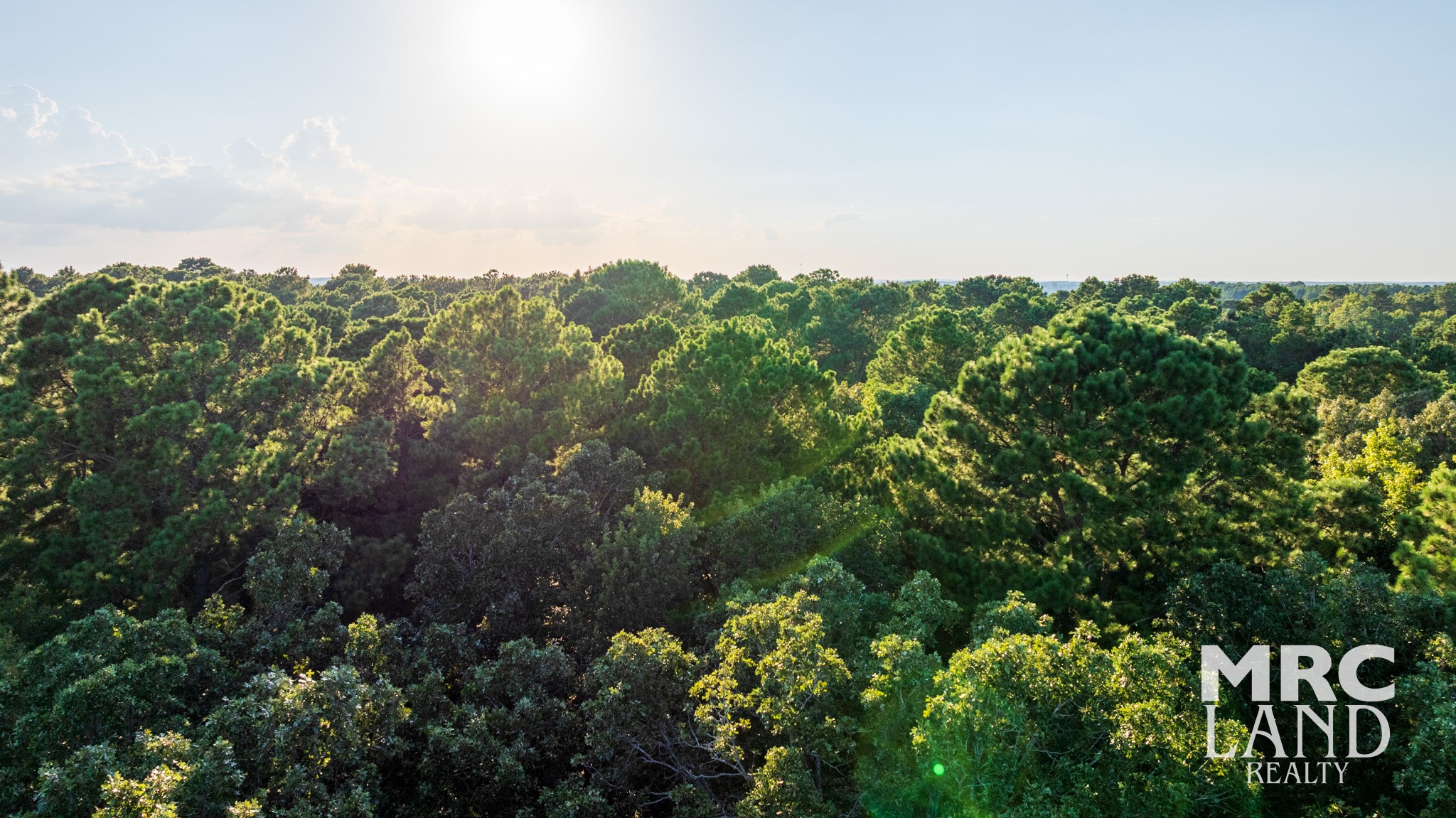 0 Fm 363 Newton, TX 75966 - Photo 21 of 25 a view of a bunch of trees and bushes