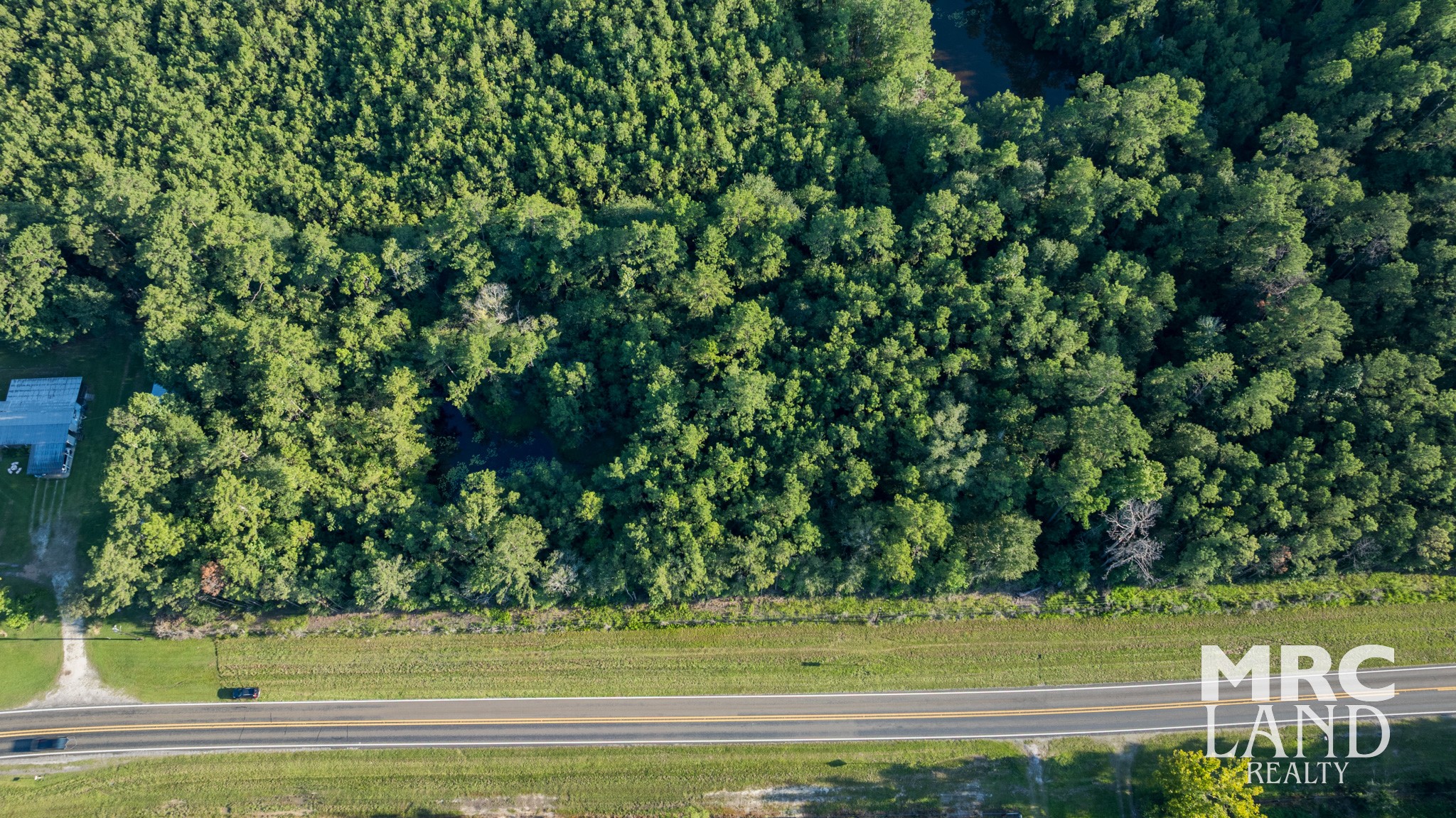 0 Fm 363 Newton, TX 75966 - Photo 8 of 25 a view of a yard