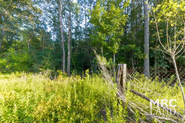 a view of swimming pool from a garden