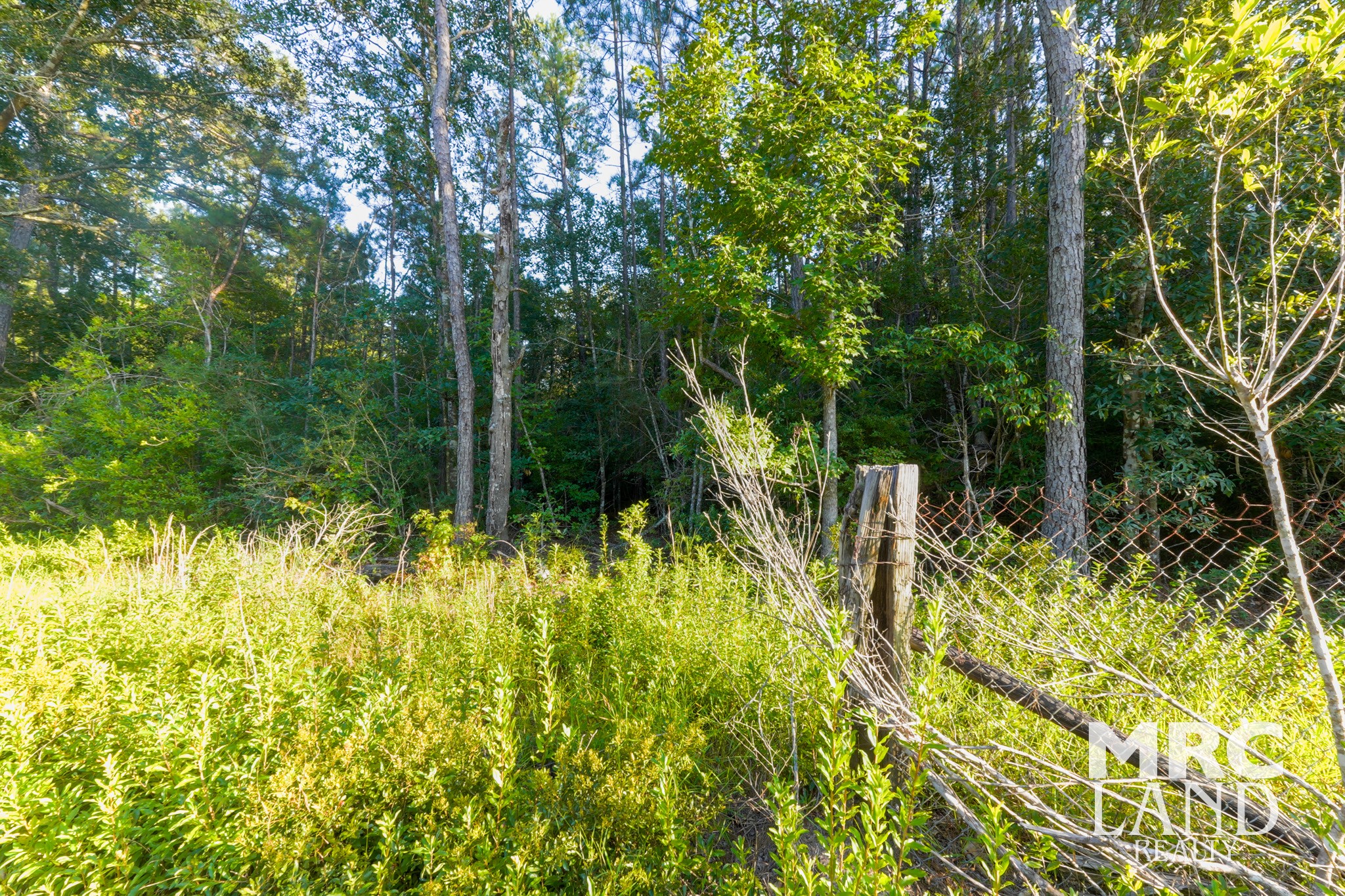 0 Fm 363 Newton, TX 75966 - Photo 9 of 25 a view of swimming pool from a garden