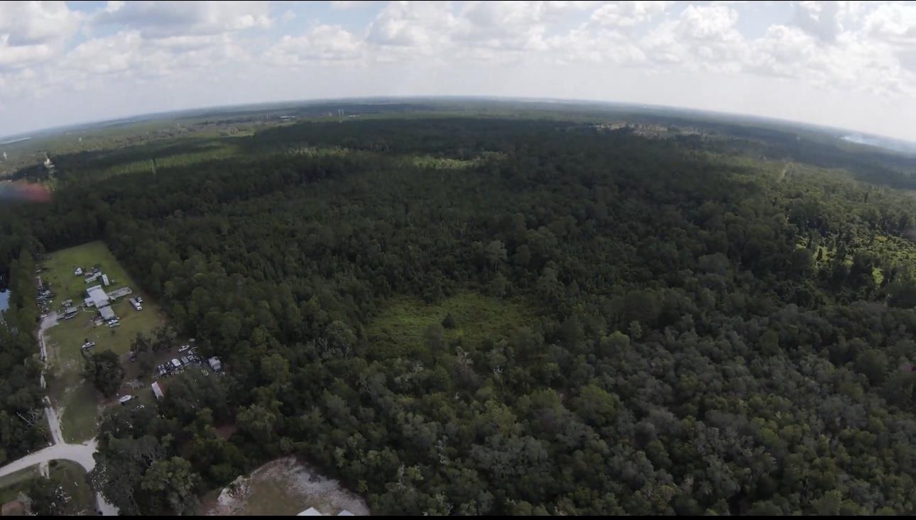 159 Woods Road San Mateo, FL 32187 - Photo 3 of 6