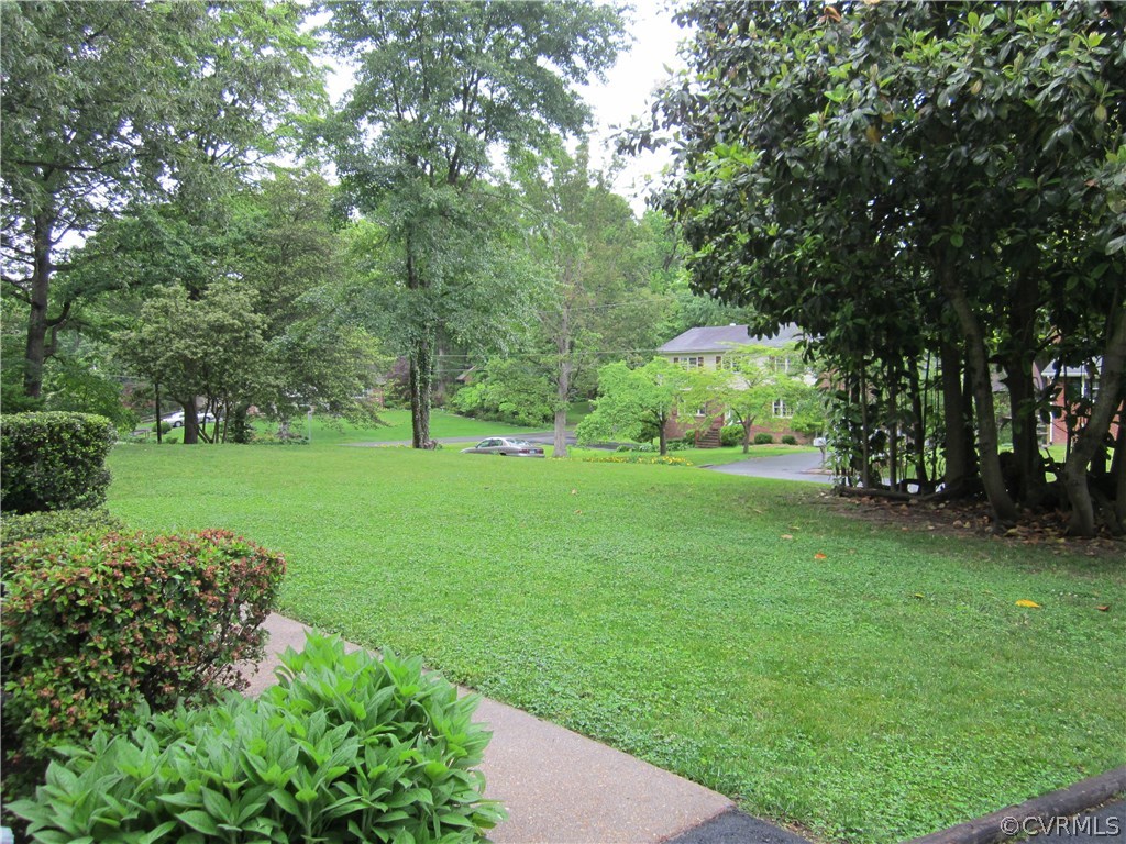 924 Ryder Road Richmond, VA 23235 - Photo 3 of 27 Large lawn with matured Magnolia tree.