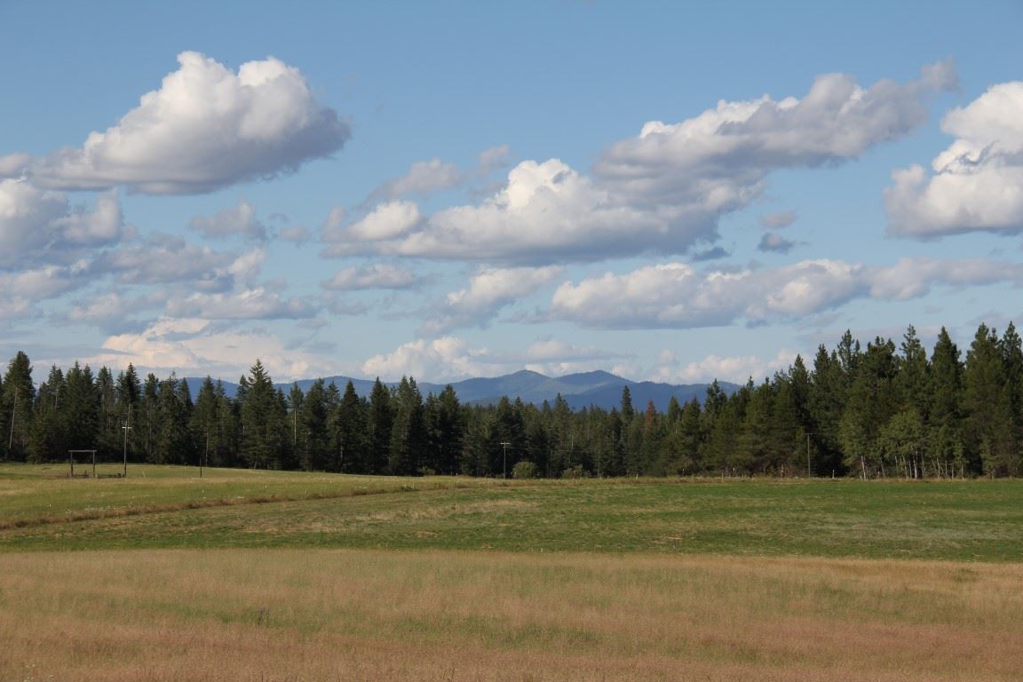 4616 Lyons Hill Road Springdale, WA 99173 - Photo 14 of 20