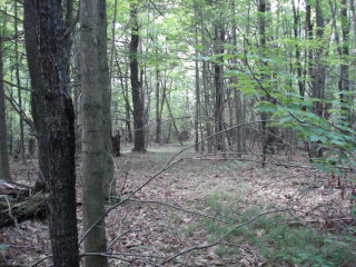 0 County Road Rock Stream, NY 14878 - Photo 1 of 1