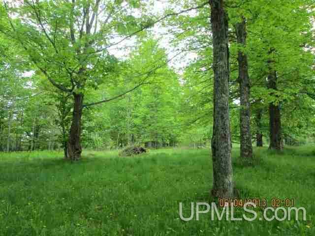 7867 30th Road Rapid River, MI 49878 - Photo 22 of 28 Gallery Image 22