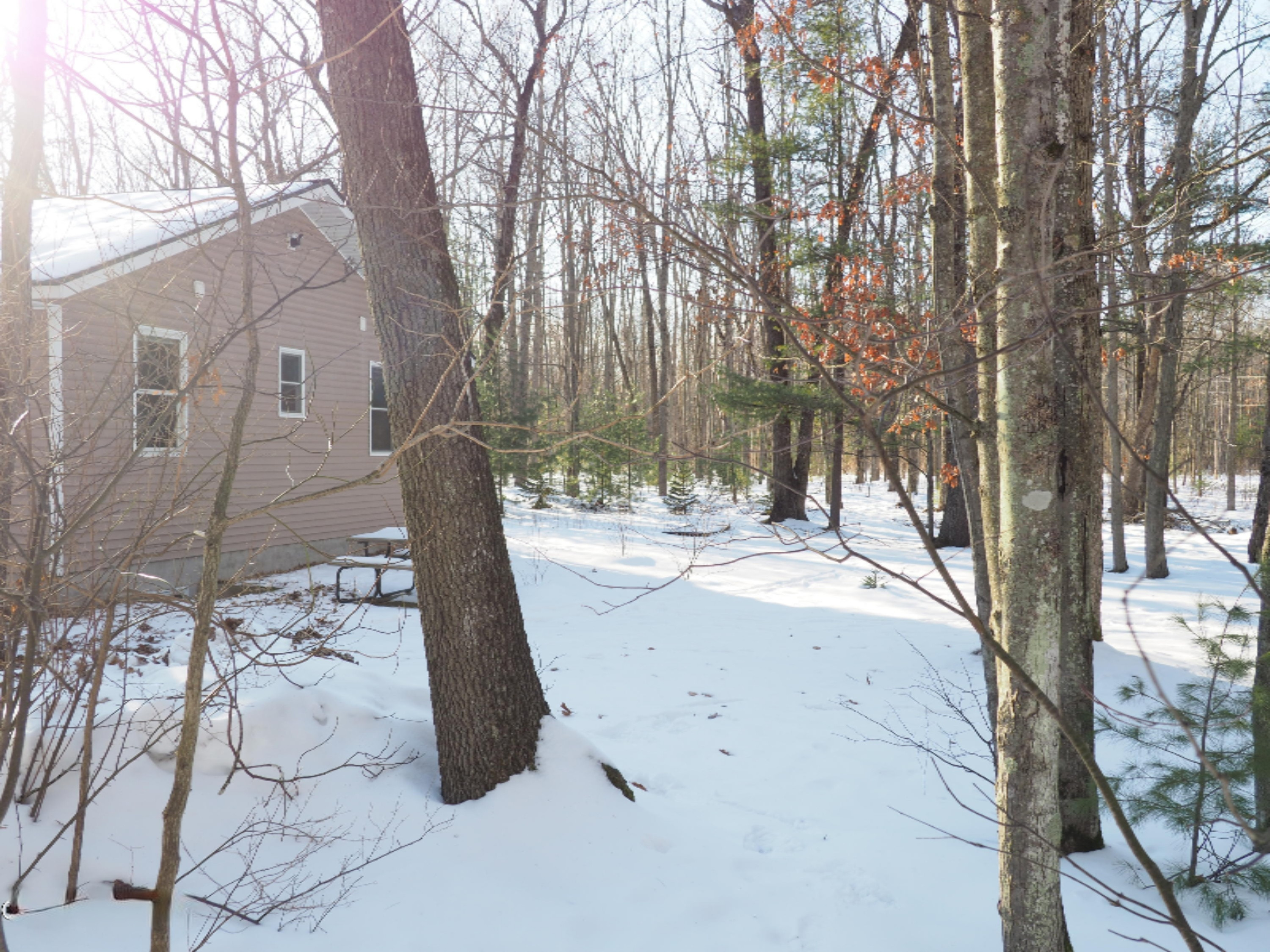 2198 Carty Road Manistee, MI 49660 - Photo 84 of 124 P2010604