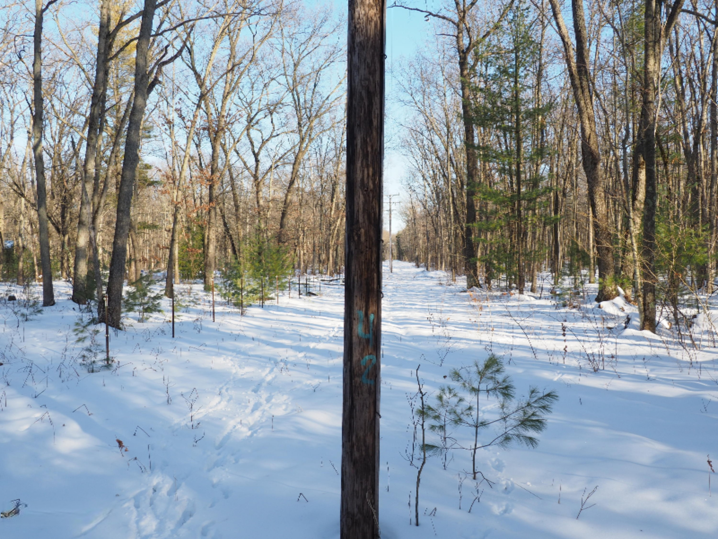 2198 Carty Road Manistee, MI 49660 - Photo 88 of 124 P2010608