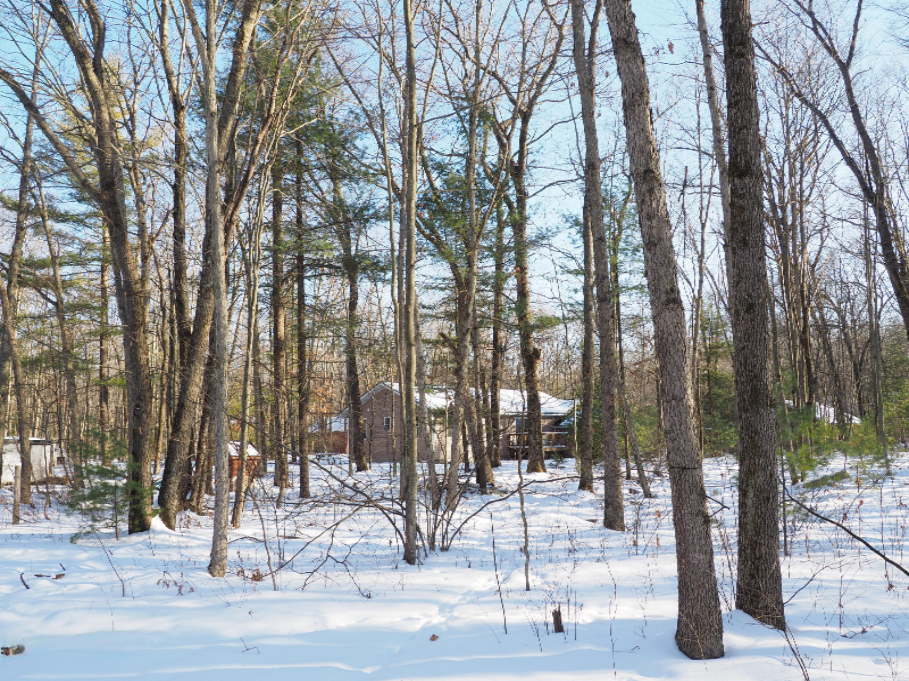 2198 Carty Road Manistee, MI 49660 - Photo 93 of 124 P2010613