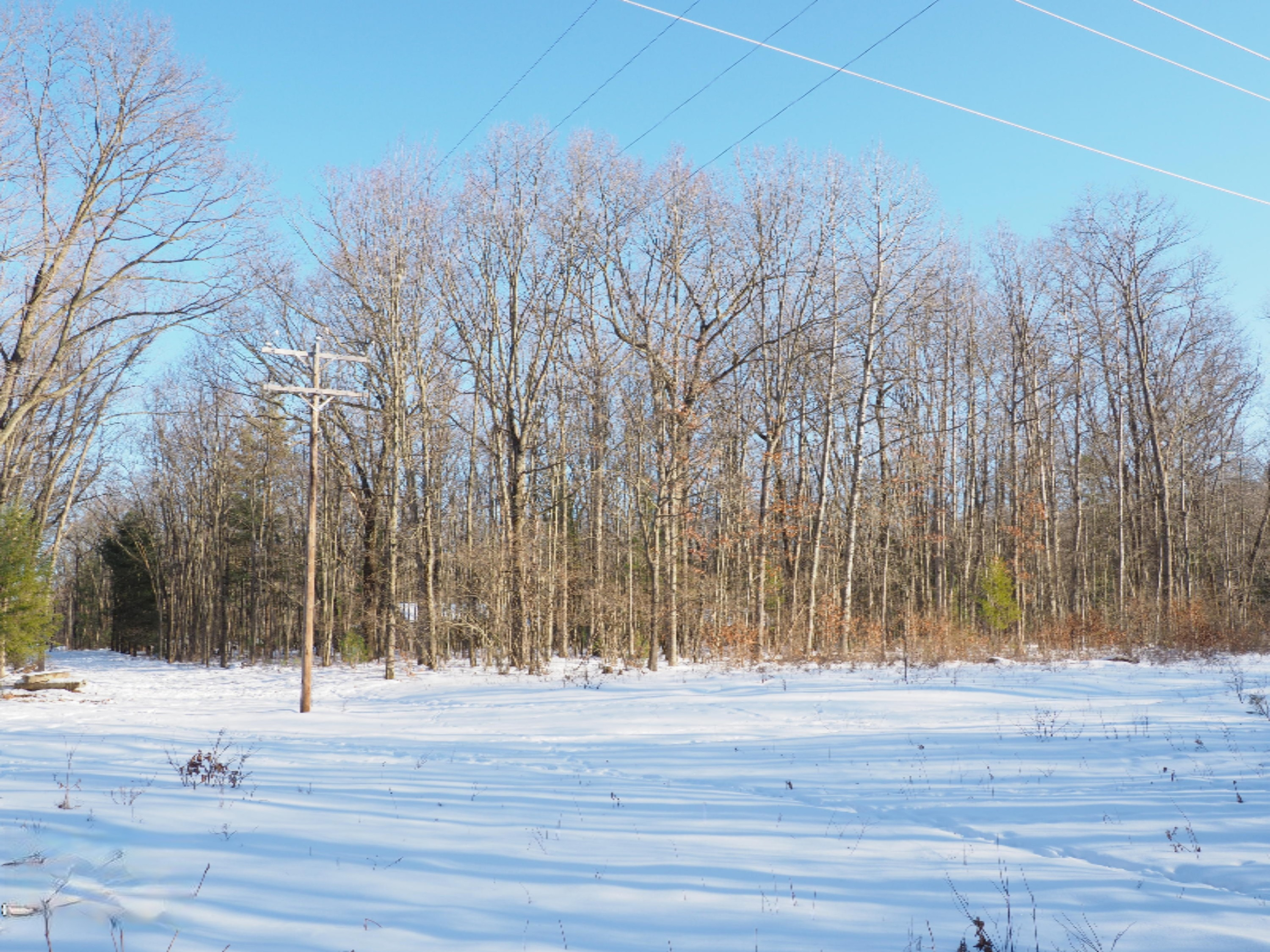 2198 Carty Road Manistee, MI 49660 - Photo 96 of 124 P2010616