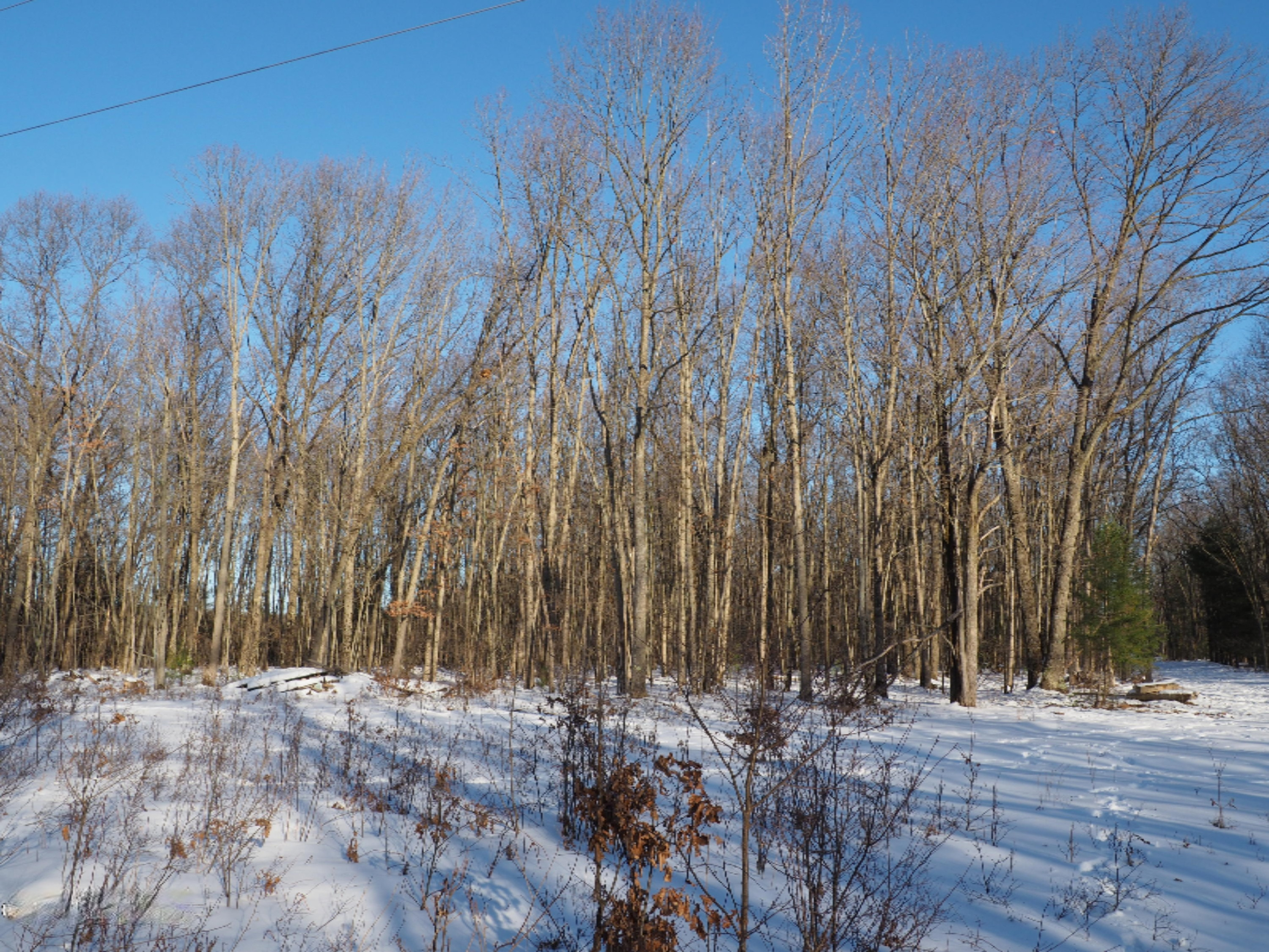 2198 Carty Road Manistee, MI 49660 - Photo 97 of 124 P2010617
