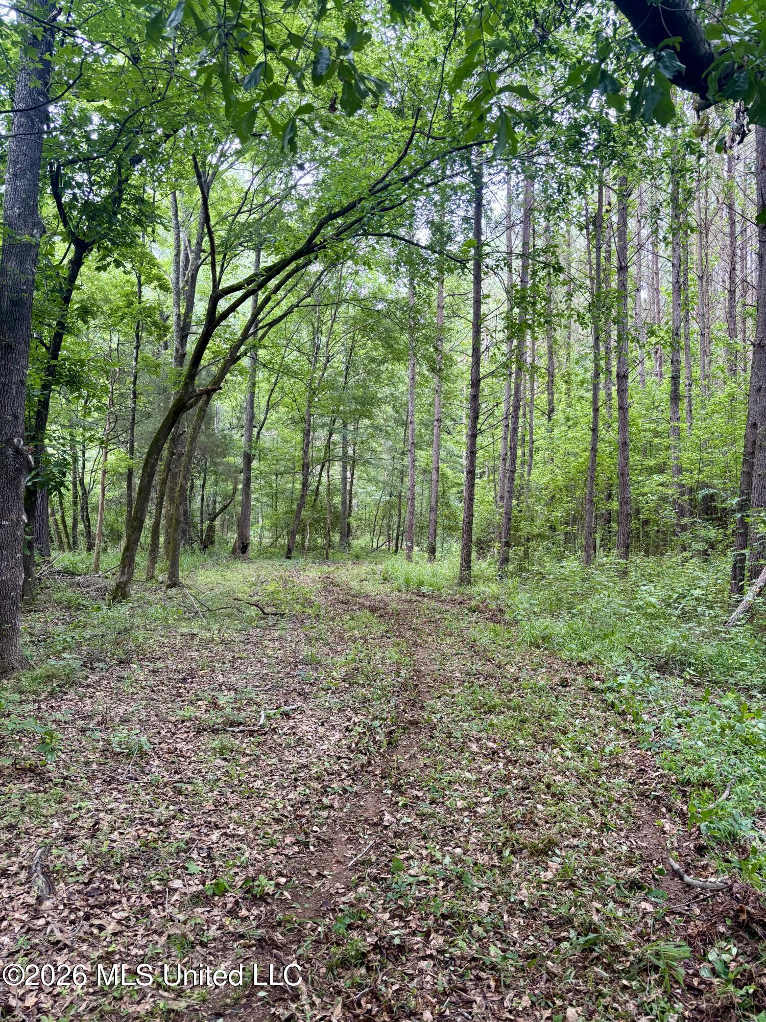 8119 Dry Grove Road Raymond, MS 39154 - Photo 15 of 45 IMG_4730