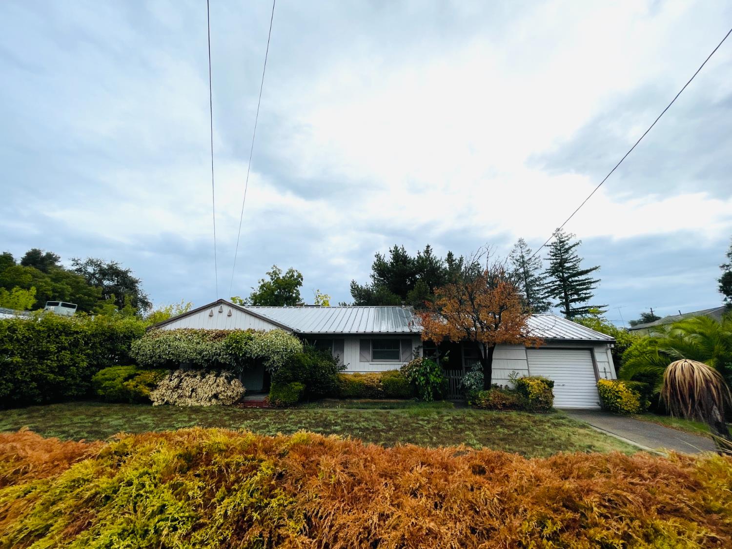 a front view of a house with garden