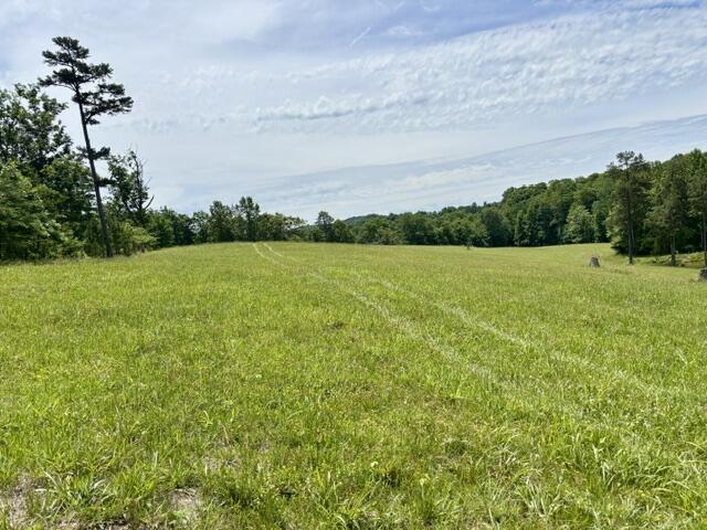 1398 Begley Road South McKee, KY 40447 - Photo 7 of 12 7