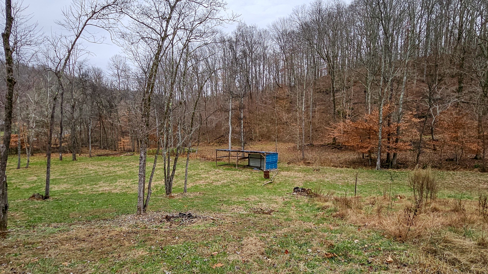 1300 Black Road Prospect, TN 38477 - Photo 31 of 59