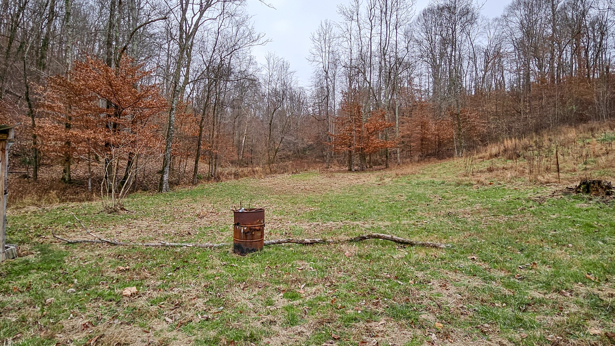 1300 Black Road Prospect, TN 38477 - Photo 34 of 59