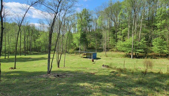 1300 Black Road Prospect, TN 38477 - Photo 41 of 59