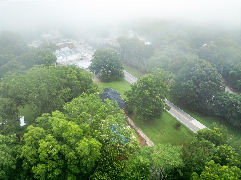 5907 Main Street Lula, GA 30554 - Photo 55 of 60 a view of a yard with plants and a large tree