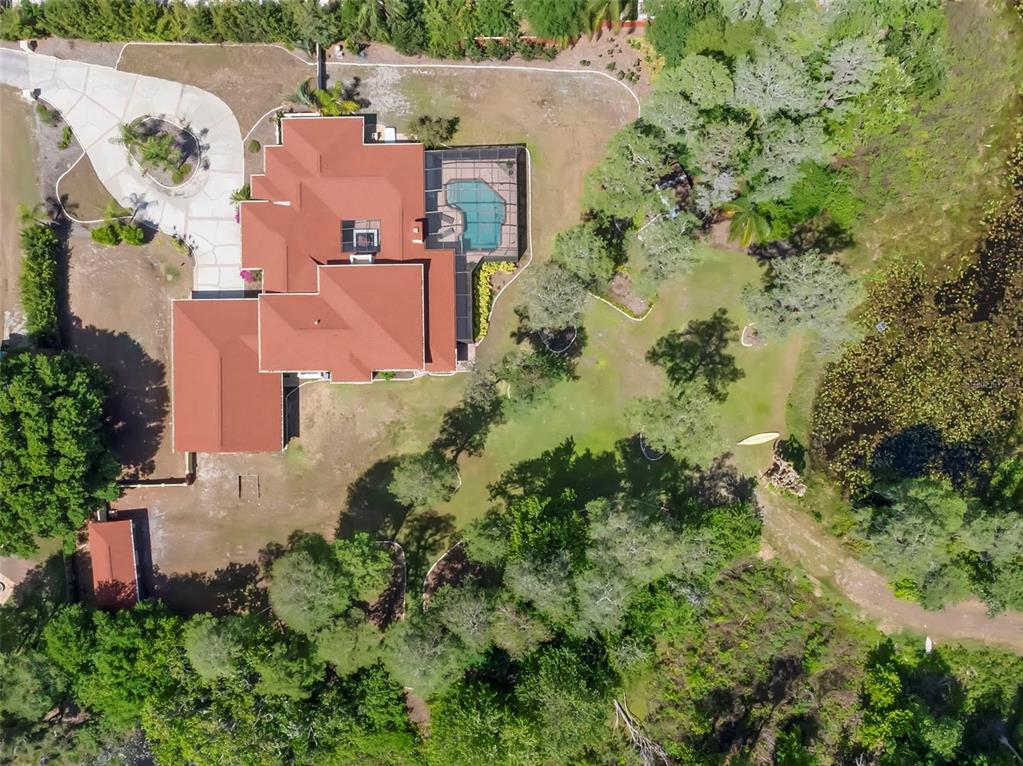19229 Blount Road Lutz, FL 33558 - Photo 63 of 66 Gallery Image 63