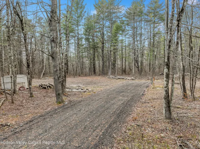 a view of dirt yard with a tree