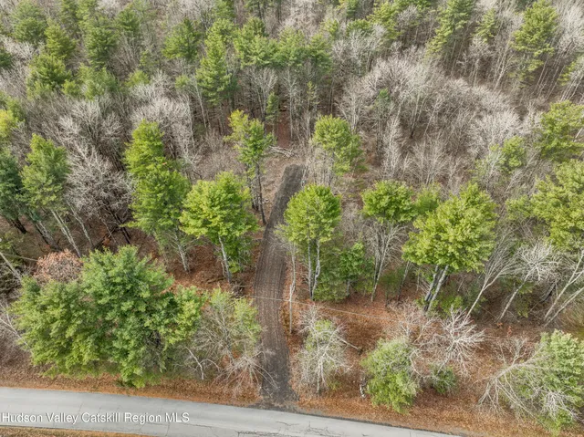 a view of a plants with large trees