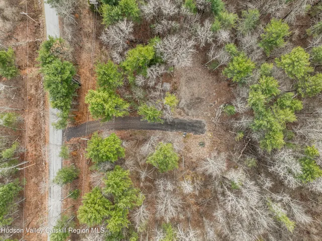 a view of a garden with a tree