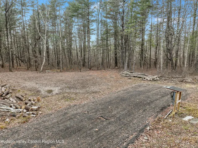 a view of dirt yard with large trees
