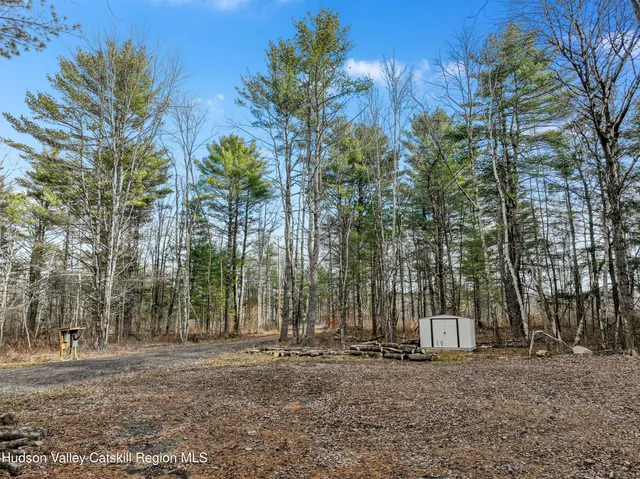 a view of a park with large trees
