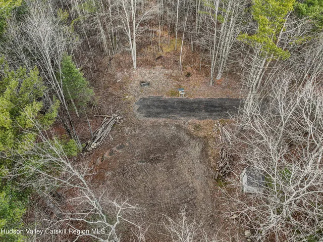 a view of a forest from a window