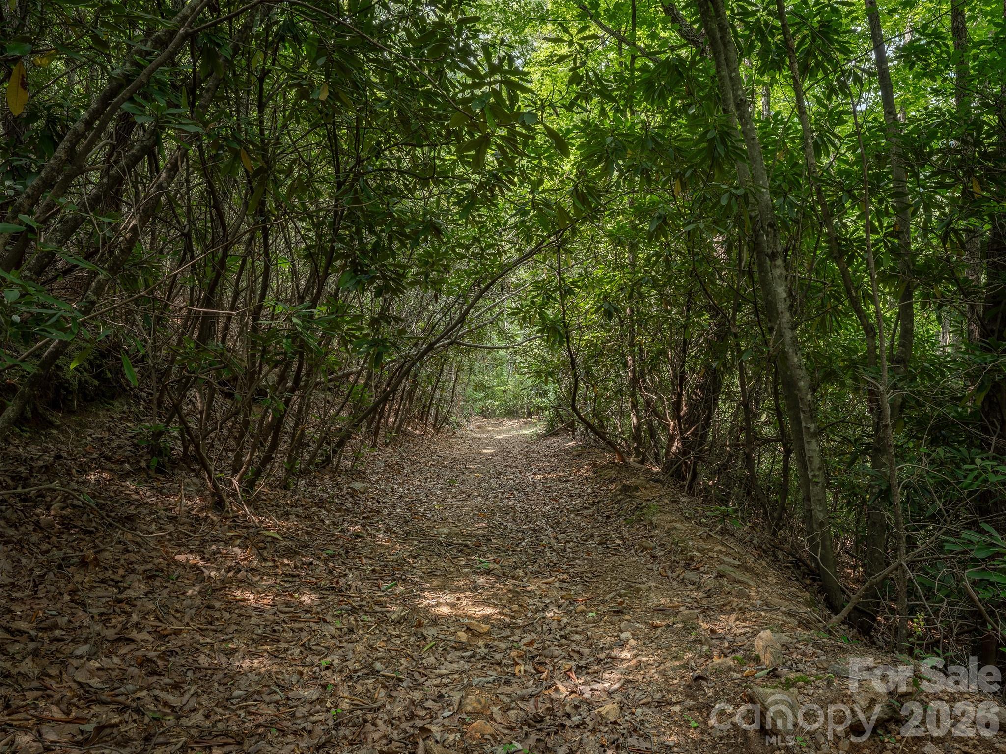 99999 Saw Branch Road Candler, NC 28715 - Photo 3 of 37 Gallery Image 3