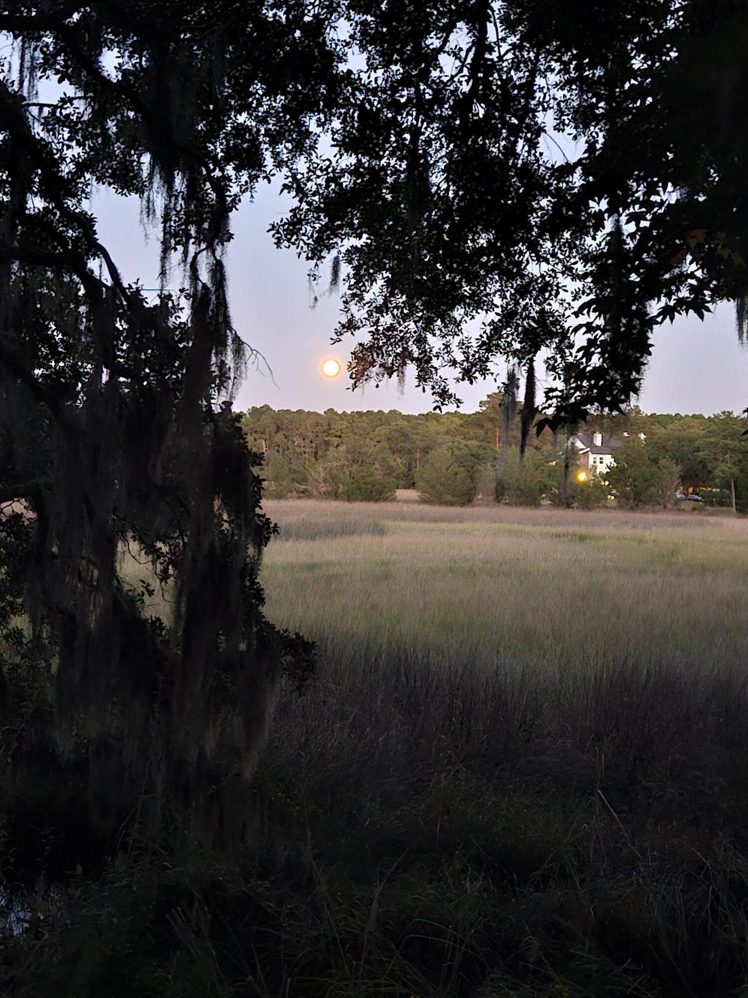 2340 Ashley River Road Charleston, SC 29414 - Photo 18 of 54 Sunrise!!!