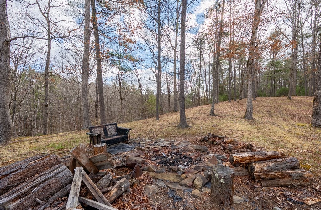 2804 Price Ridge Road Bland, VA 24315 - Photo 36 of 63 Gallery Image 36