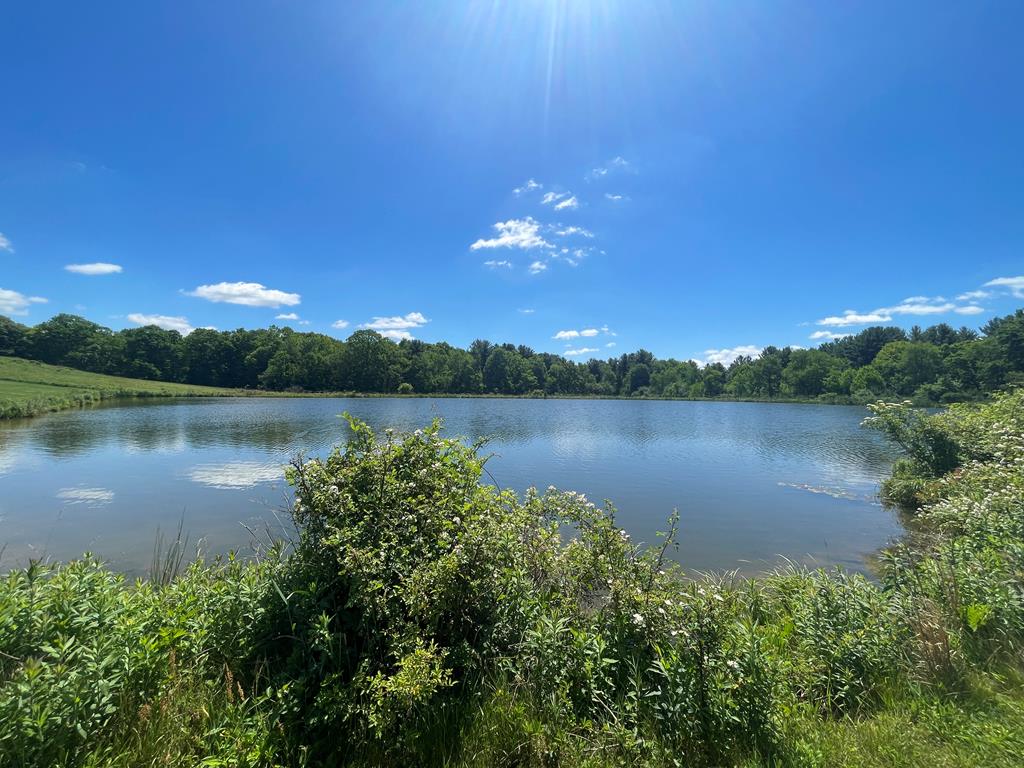 122.24-ac Sutton Road Grand Valley, PA 16420 - Photo 23 of 25