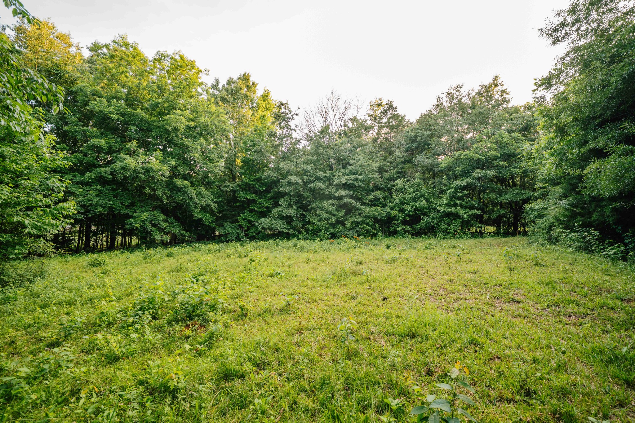 500 Case Road Prospect, TN 38477 - Photo 75 of 98