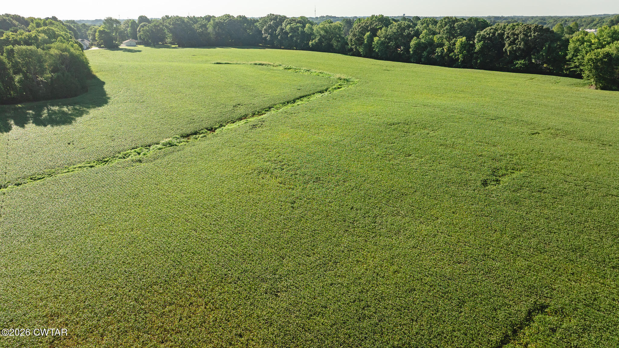 137 Courtright Road Martin, TN 38237 - Photo 9 of 13 DJI_20260816154539_0013_D
