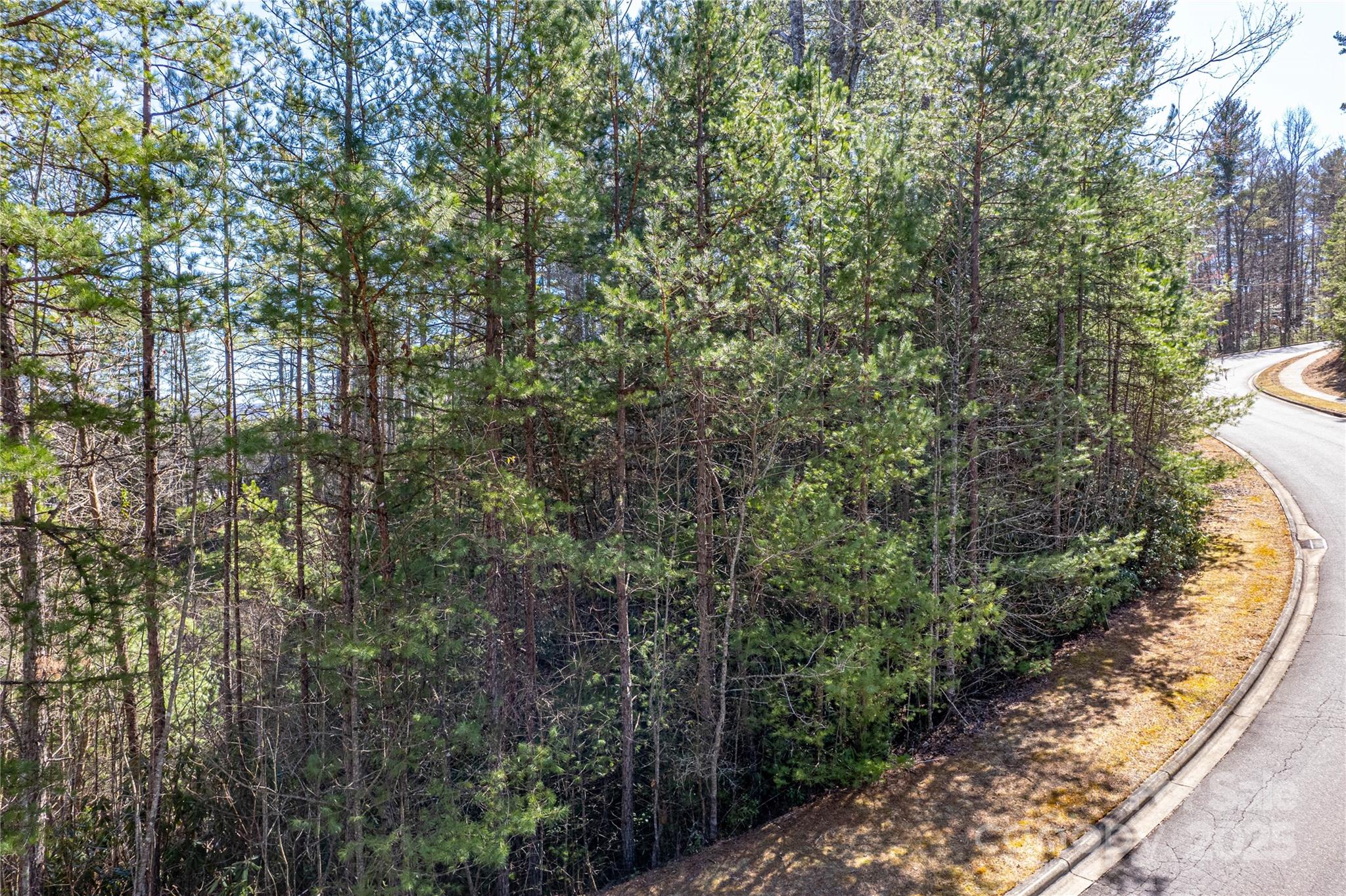 Tbd Camptown Road, Unit M139 Brevard, NC 28712 - Photo 2 of 13