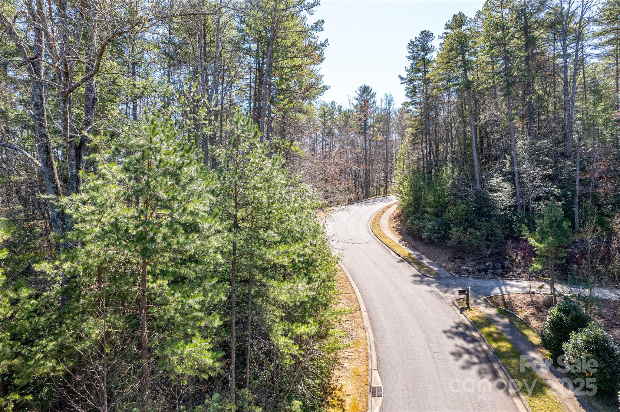 Tbd Camptown Road, Unit M139 Brevard, NC 28712 - Photo 3 of 13