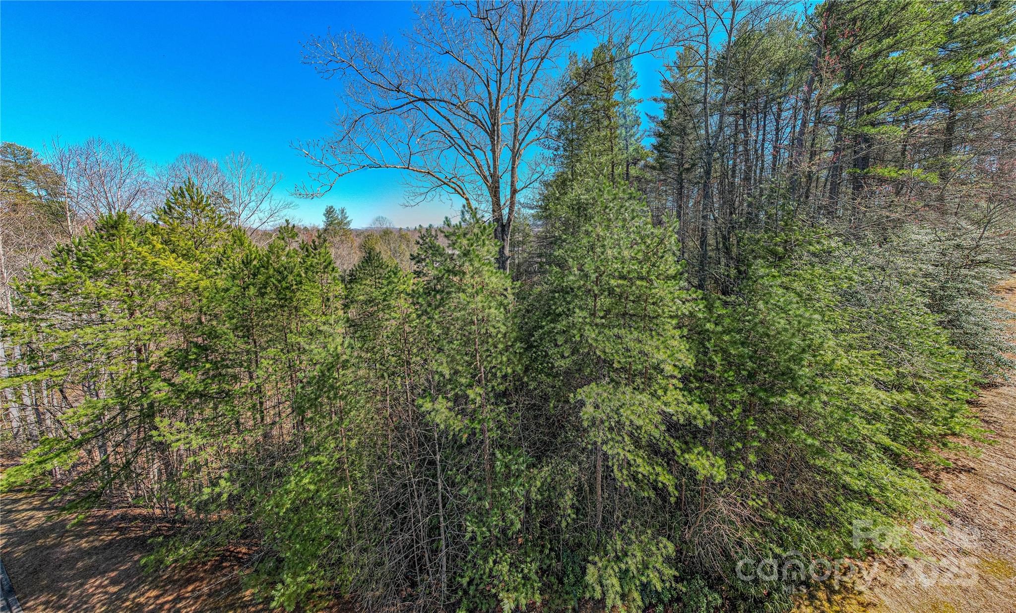 Tbd Camptown Road, Unit M139 Brevard, NC 28712 - Photo 4 of 13