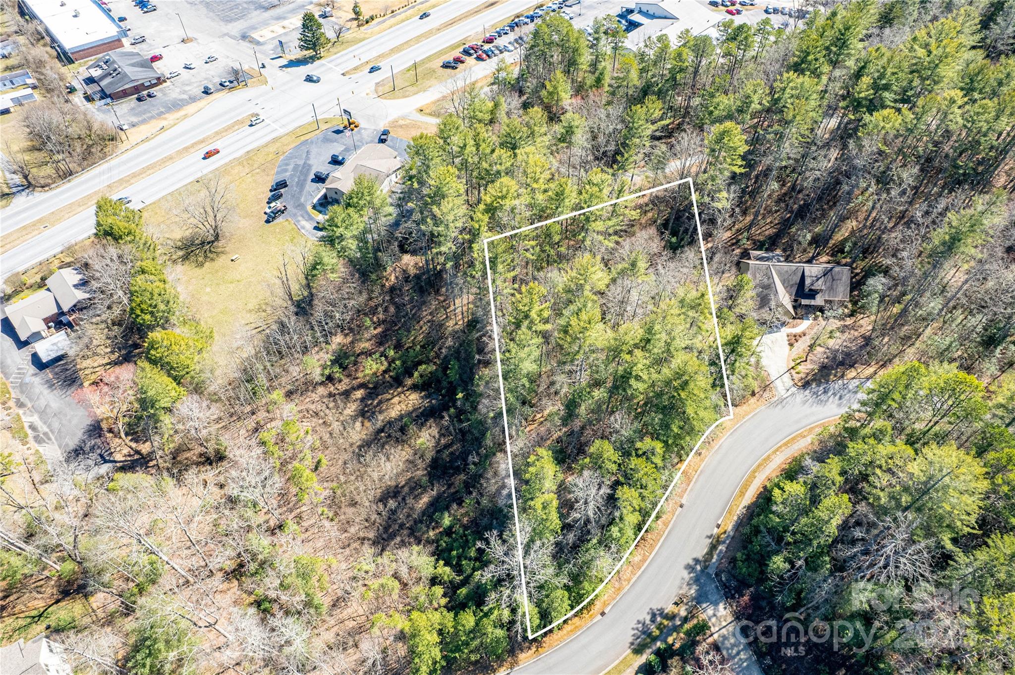 Tbd Camptown Road, Unit M139 Brevard, NC 28712 - Photo 5 of 13